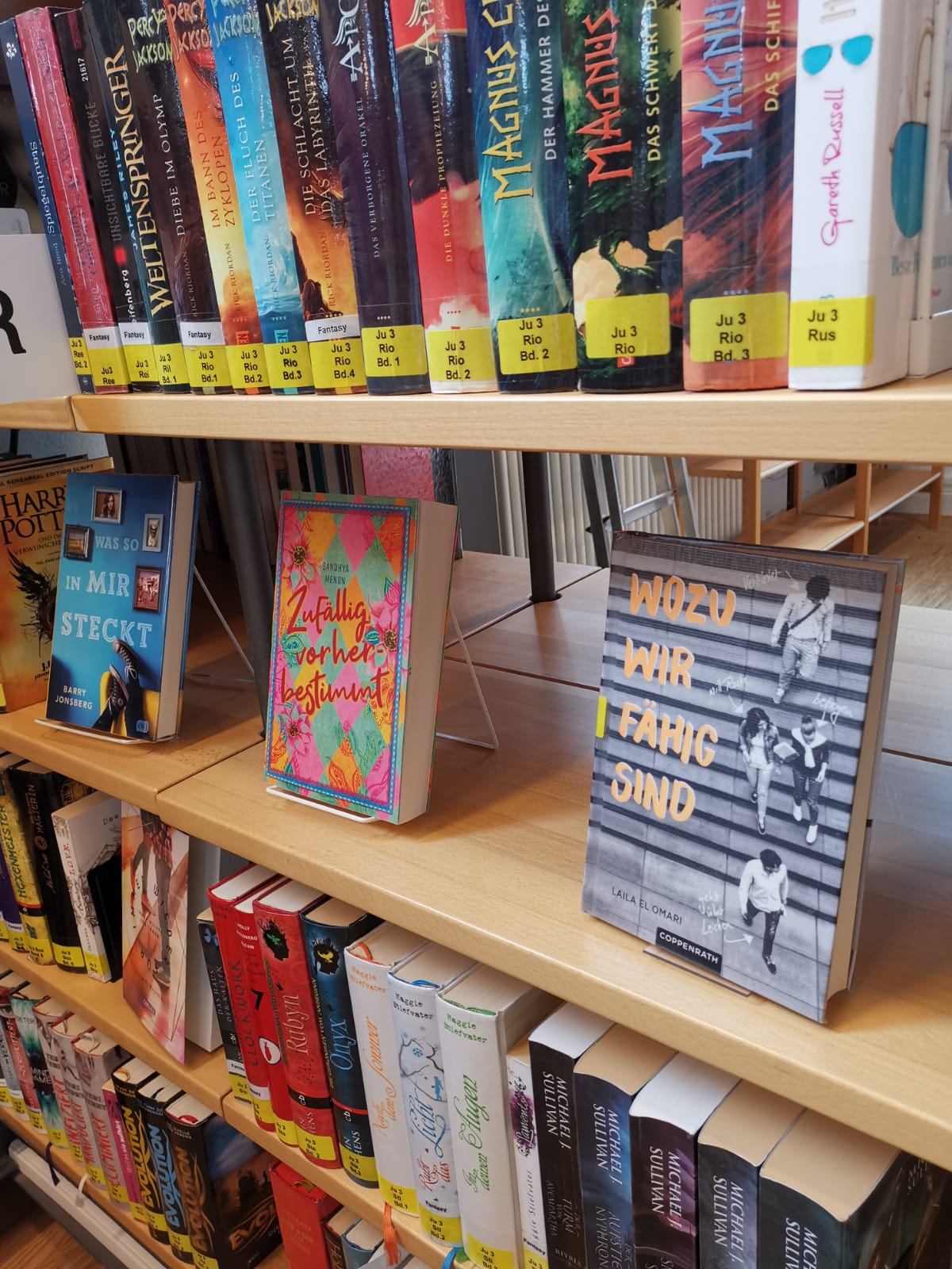 Bücherregal in der öffentlichen Bücherei Bad Sobernheim